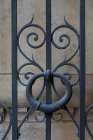 Vienna, Austria. Ironwork gate detail Art Print